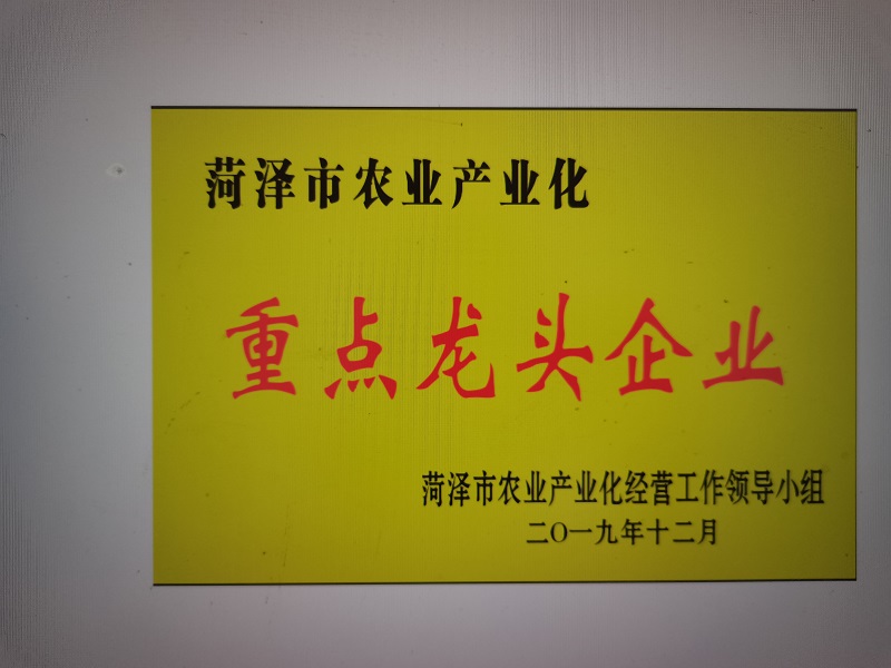 榮譽資質(zhì)--重點龍頭企業(yè)